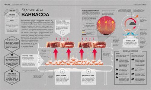 COCINOLOGIA LA CIENCIA DE LA COCINA - Imagen 6