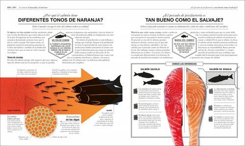 COCINOLOGIA LA CIENCIA DE LA COCINA - Imagen 5
