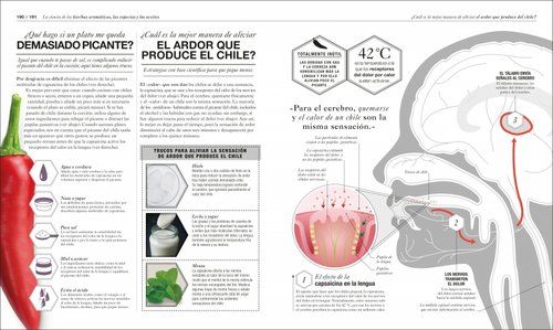 COCINOLOGIA LA CIENCIA DE LA COCINA - Imagen 3