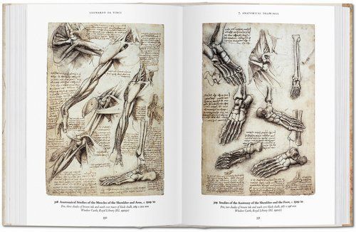 LEONARDO DA VINCI - Imagen 3